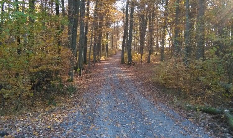 Ruhewald Greußenheim: Eröffnung 20.10.2016